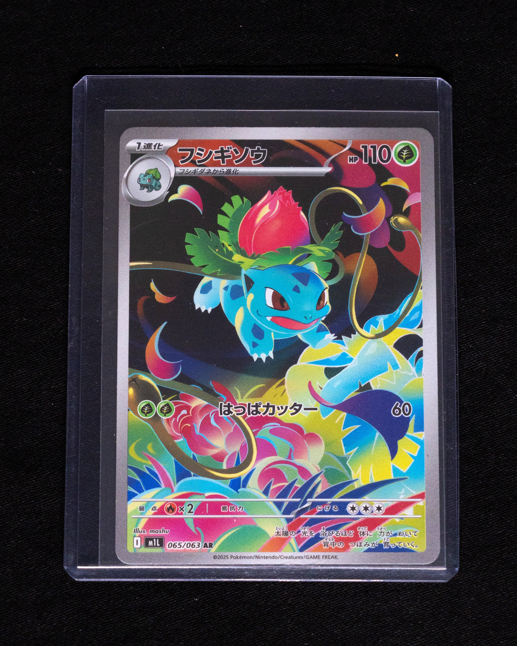 Ivysaur (JP)
