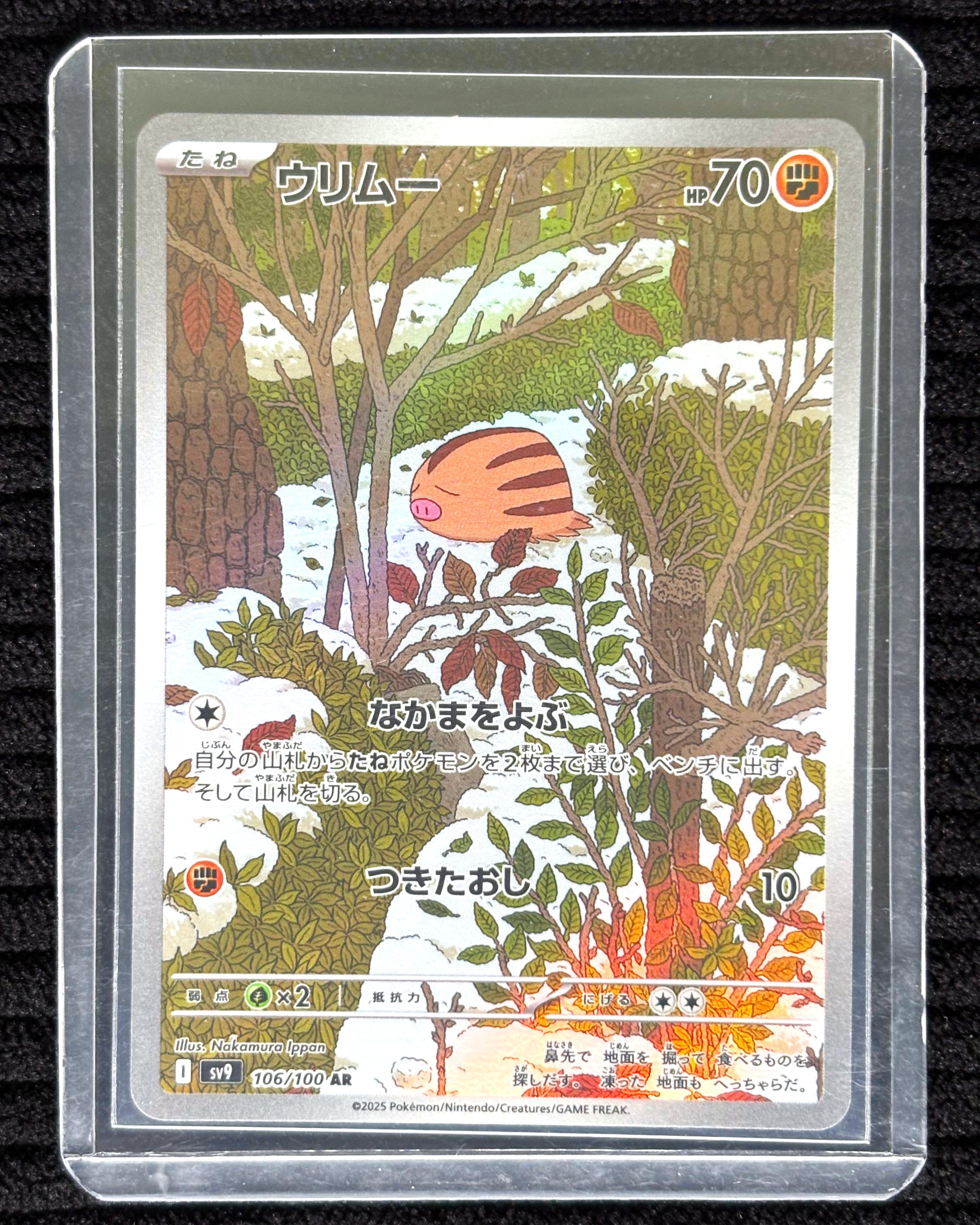 Swinub (JP)